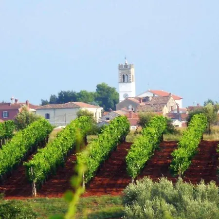 Palazzon Nova Vas -villanova Villa Brtonigla